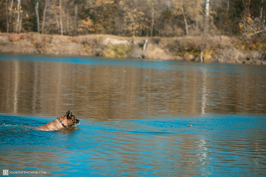 20121022_igor_savenchuk_photographer_0062.jpg