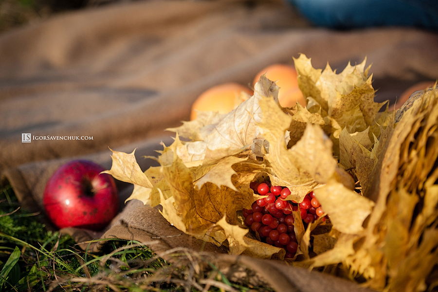 20121022_igor_savenchuk_photographer_0080.jpg