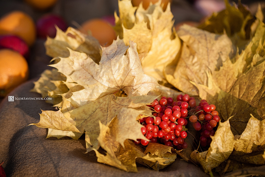 20121022_igor_savenchuk_photographer_0081.jpg
